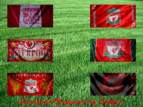 FIFA 09  "Liverpool Flagpack by Buffon"