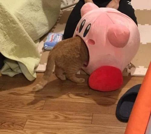 Кирби поглощает пушистое существо