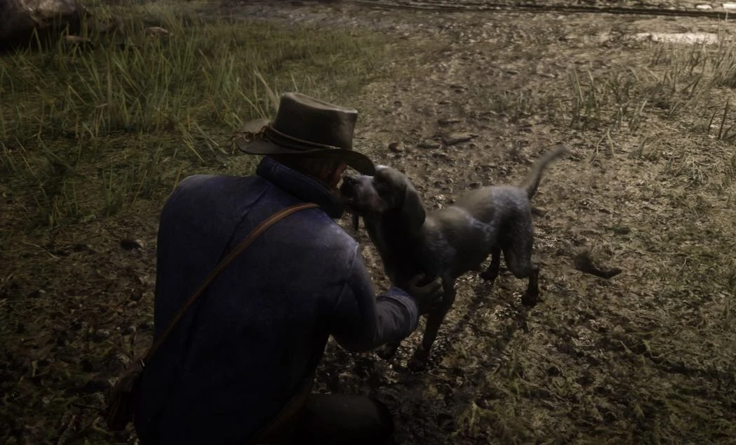 Rockstar разрешила игрокам Red Dead Online гладить собак