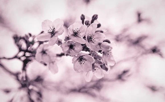 Случайности не случайны?