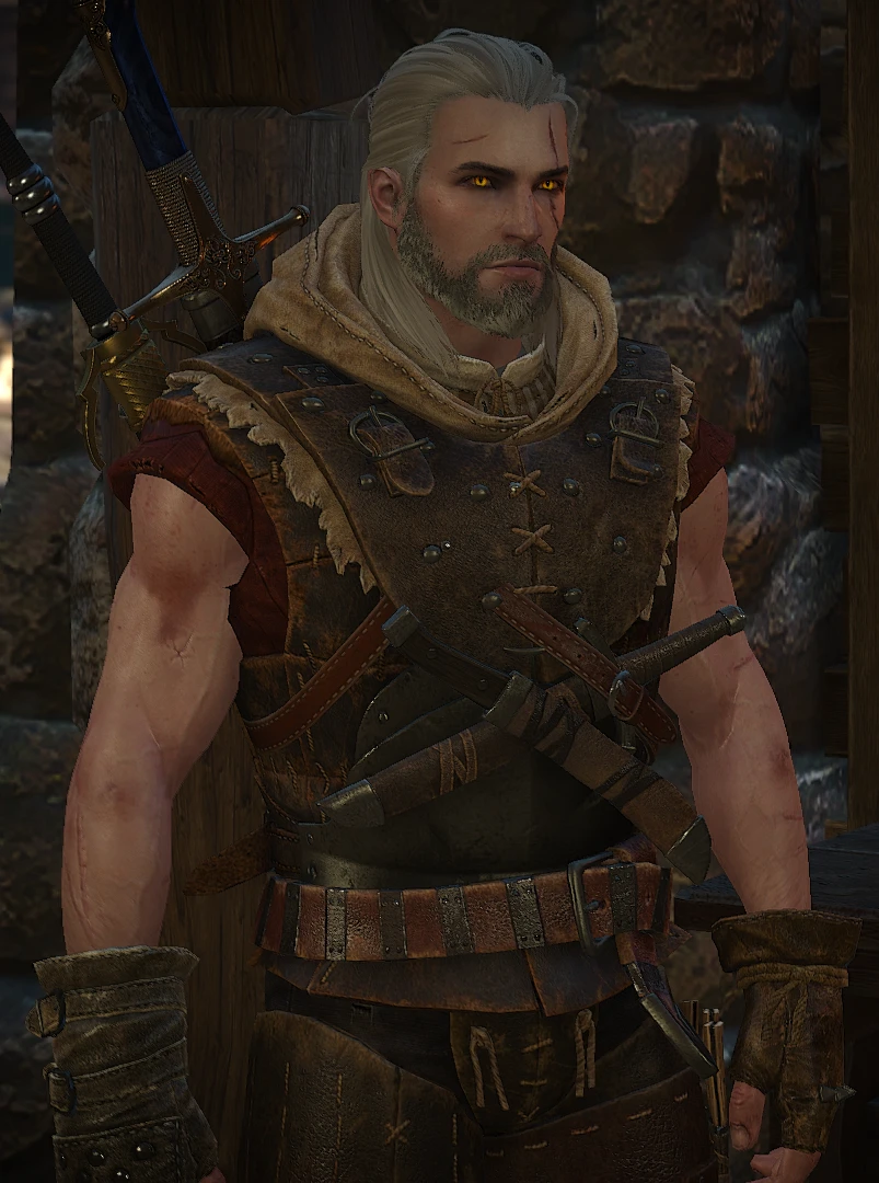 Witcher 3: Wild Hunt "Доспех Разбойного Ведьмака / Rogue Witcher Armor"