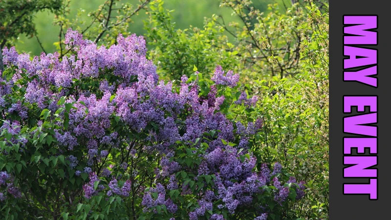 Для Fisher Online вышло обновление 96 с новым ивентом