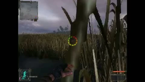 Stalker Clear  Sky "Build 3120"