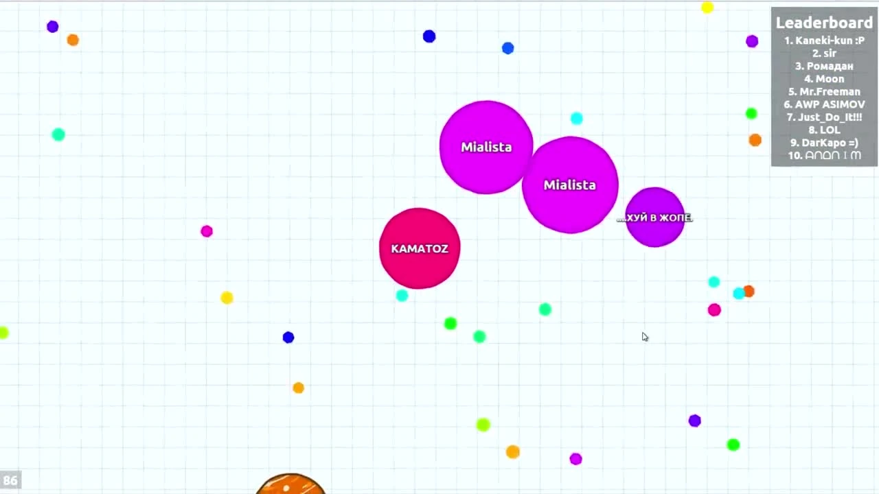 Agario: "Попа, Член, Обама, Крым"