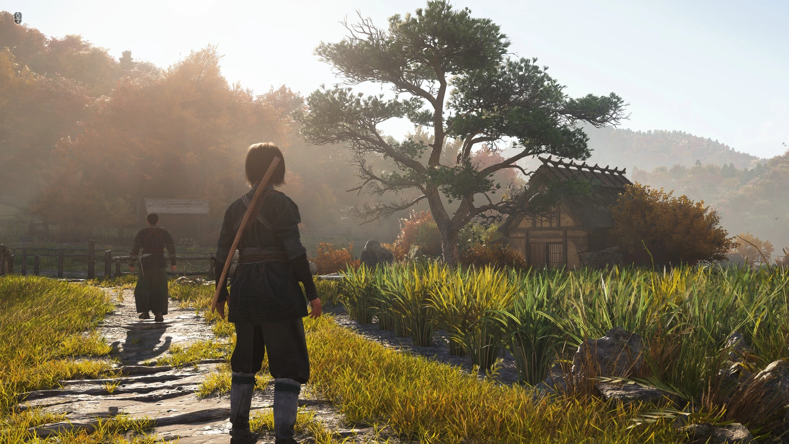 Режимы игры в Assassin's Creed Shadows и влияние на ачивки