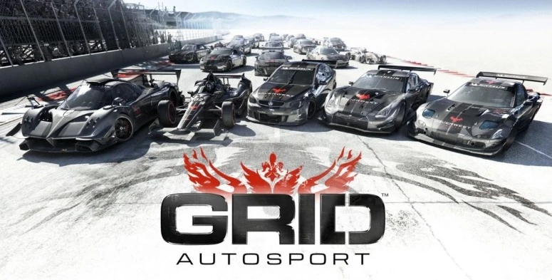 Управление в GRID Autosport для Nintendo Switch