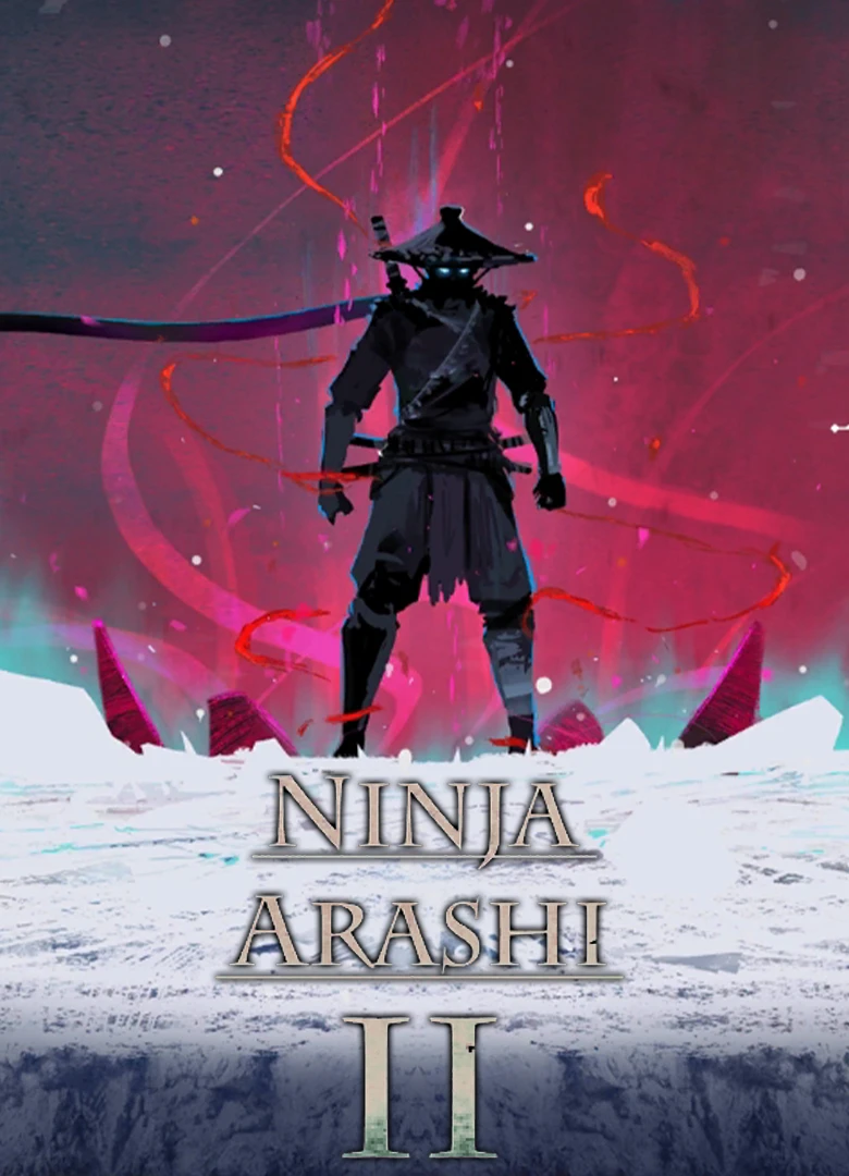 Ninja Arashi 2