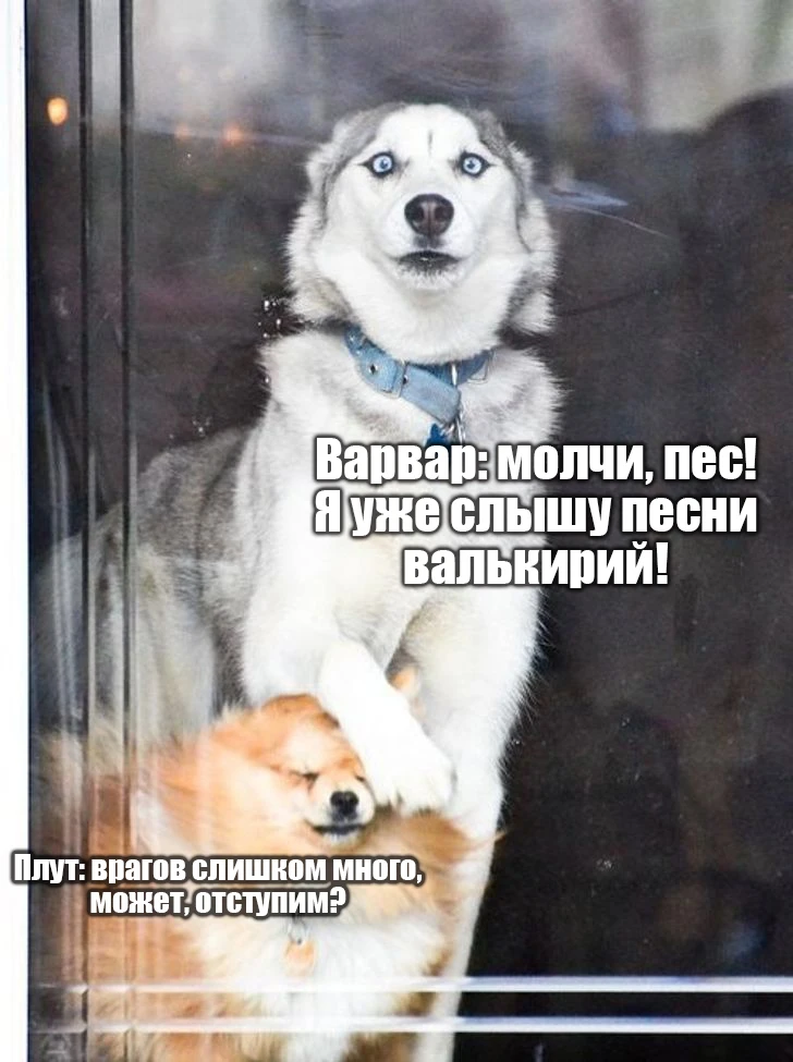 Будет битва, будет мясо