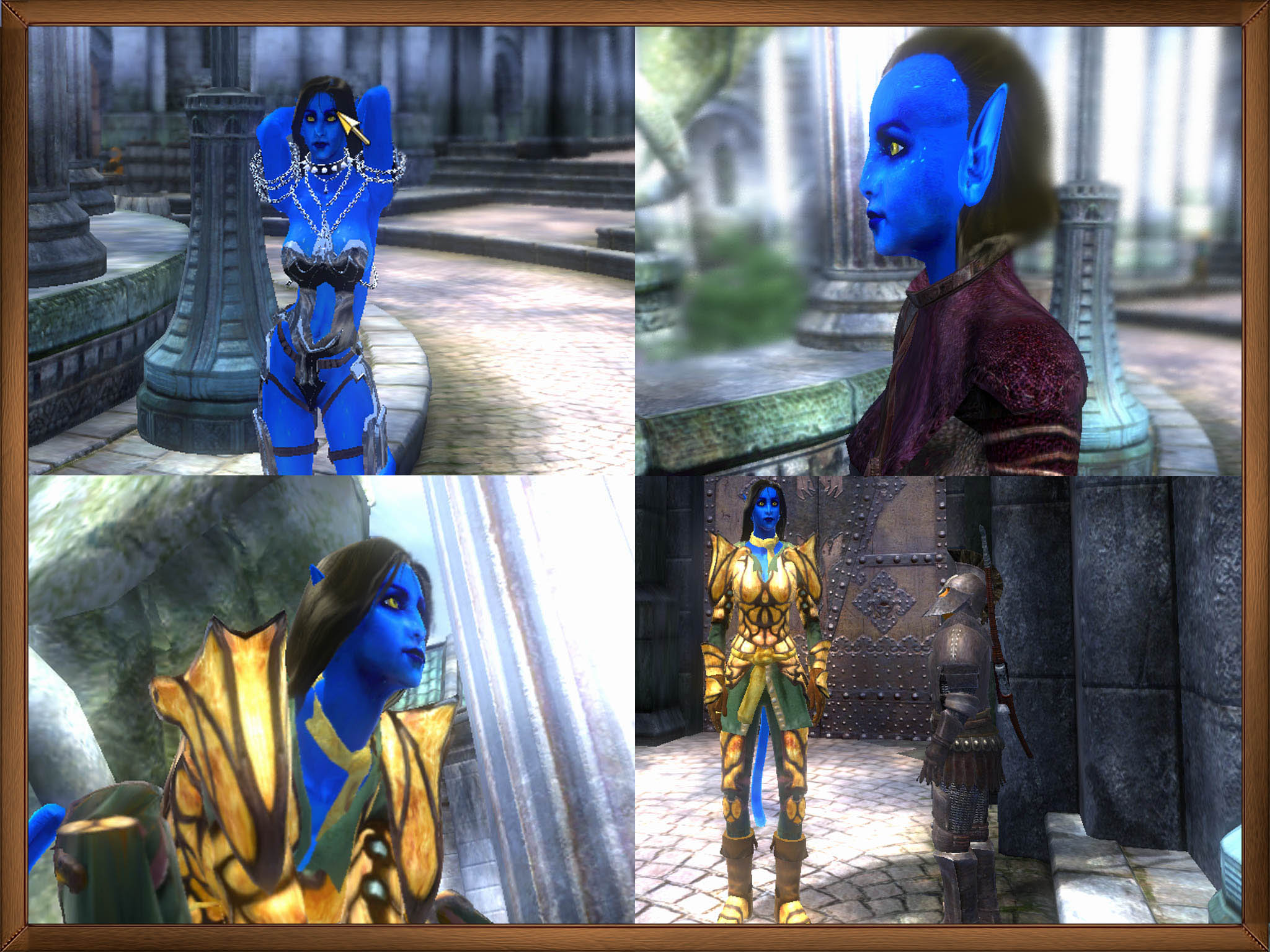 TES 4 "gSpidy's Na'vi race / раса На'ви v1.5"