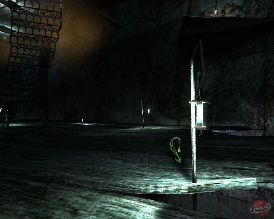 "Тургор". Братья и Сестры