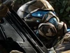 Crytek: Crysis 3 выжмет из консолей все соки, ни одна другая игра не сможет ее превзойти