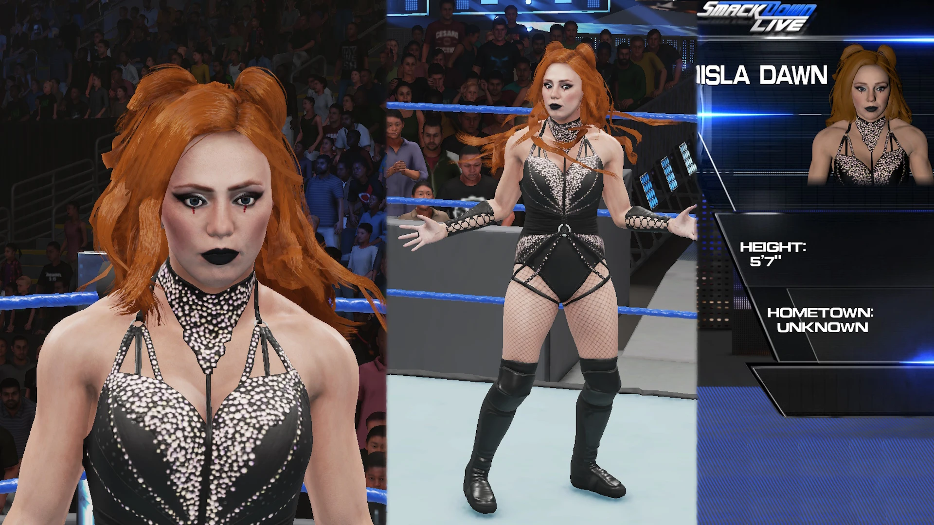 WWE 2K19 "Исла Дон из WWE 2K24"