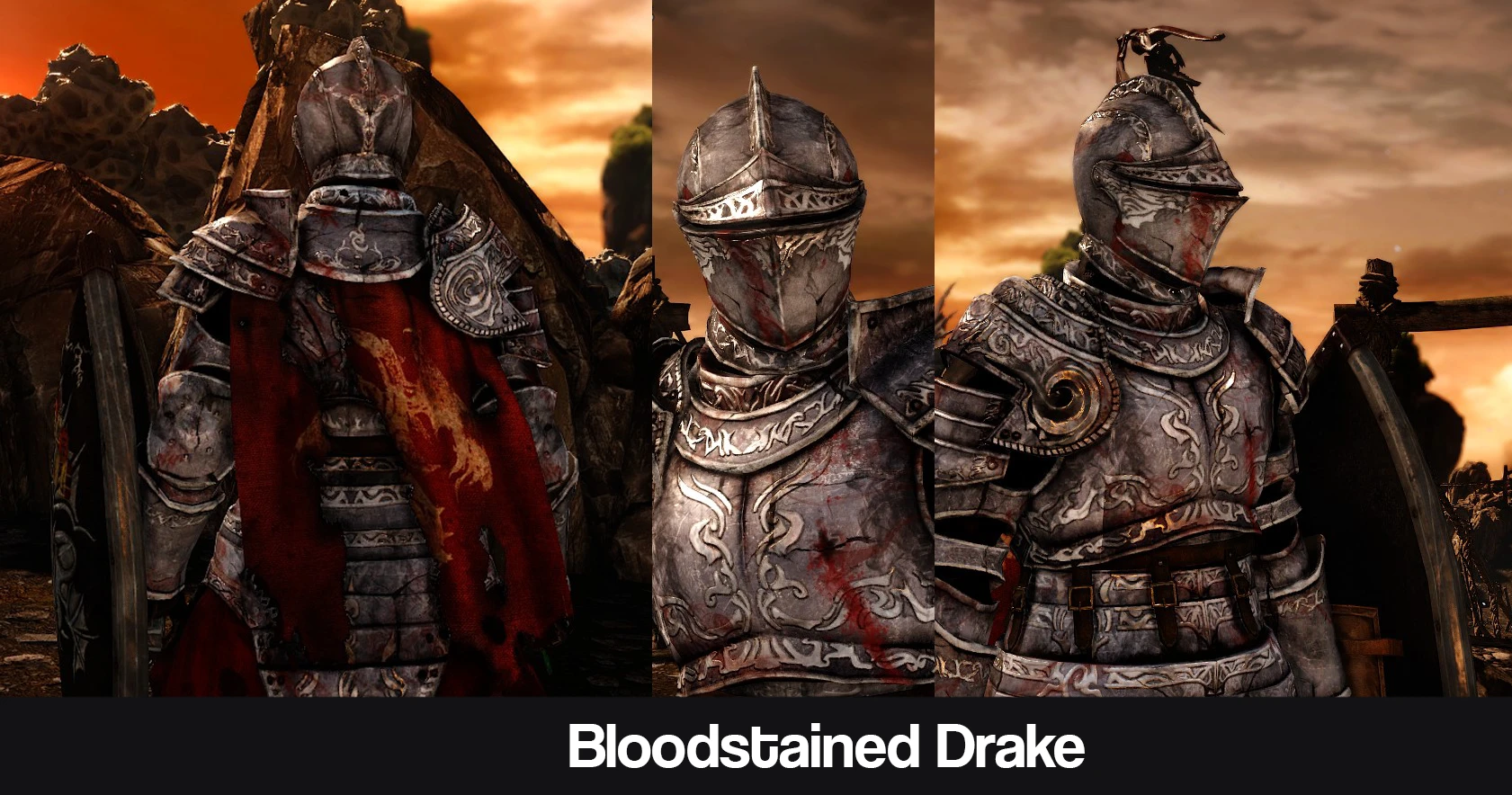 Dark Souls 2 "Bloodstained Drake - DLC Drakeblood armor"