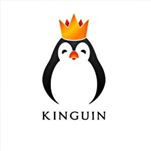 Kinguin заменят EnVyUs на лан-финалах FACEIT League 2015 Stage 2