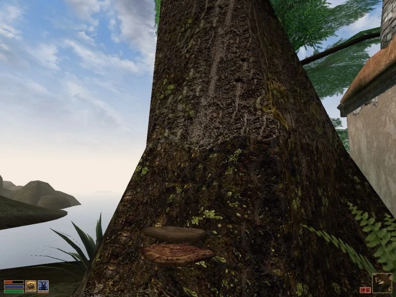 Morrowind "Волшебные безделушки Тамриэля"