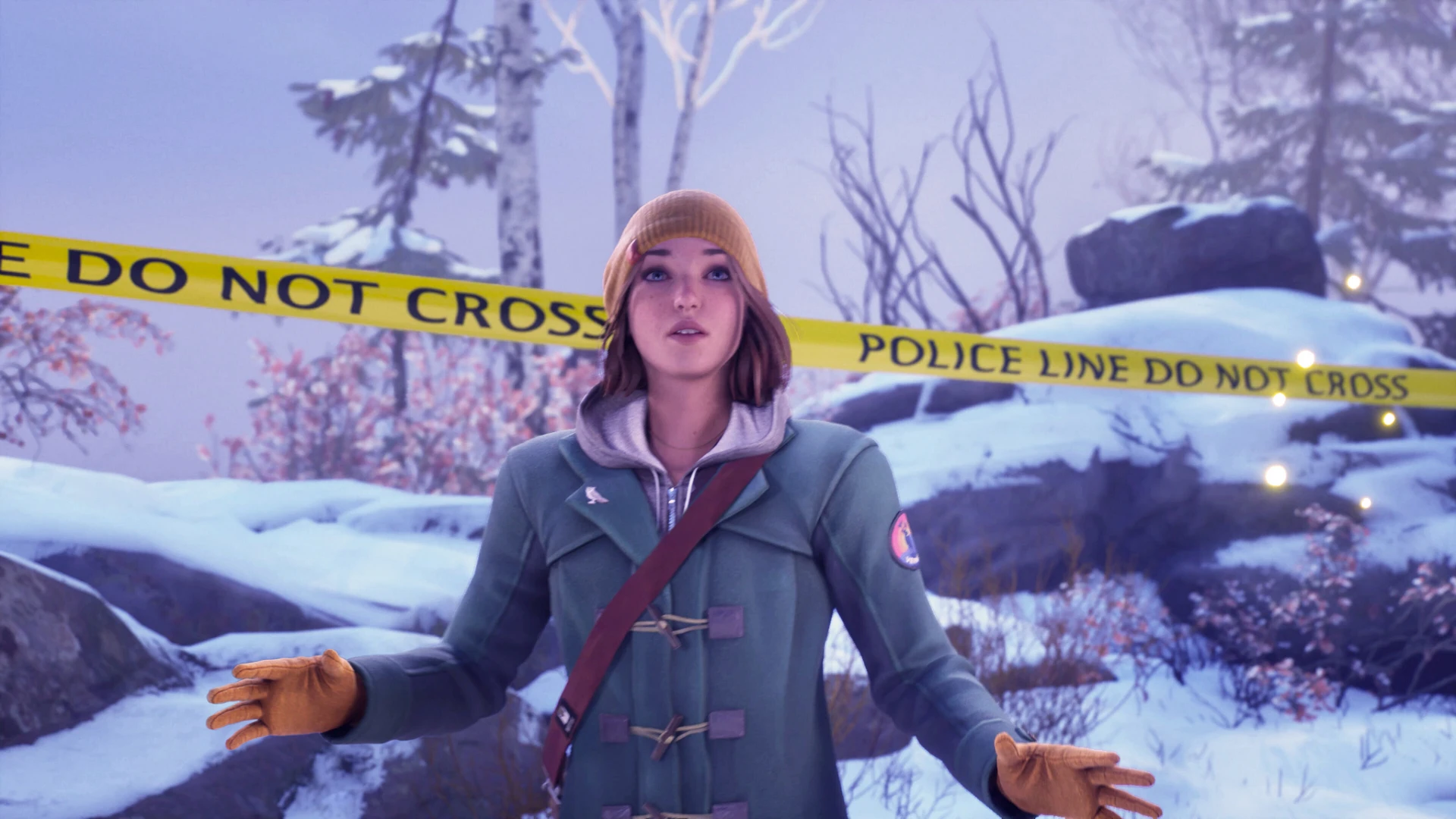 Оказалось, что подробности Life is Strange: Double Exposure утекли в сеть еще в январе от неизвестного инсайдера