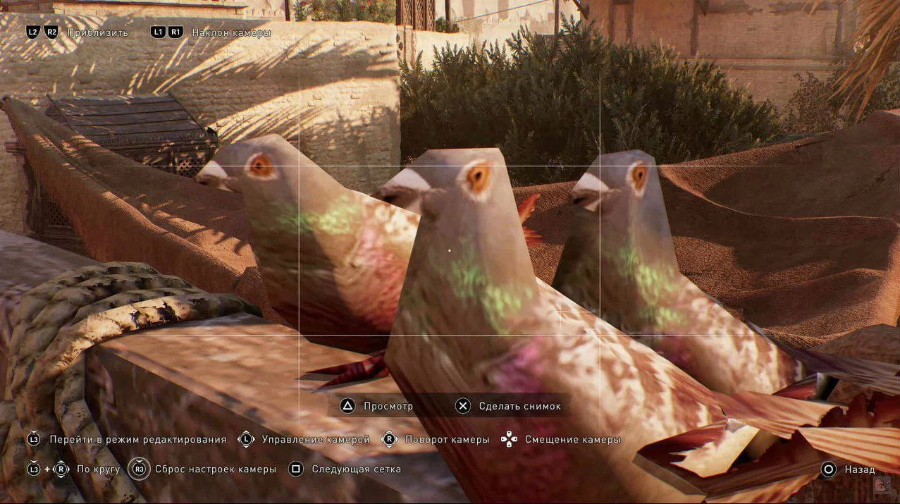 Голуби из Assassin's Creed: Mirage