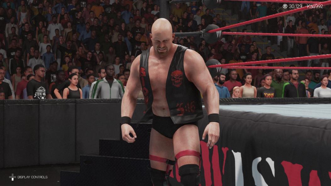 WWE 2K19 "Stone Cold Bionic Redneck"