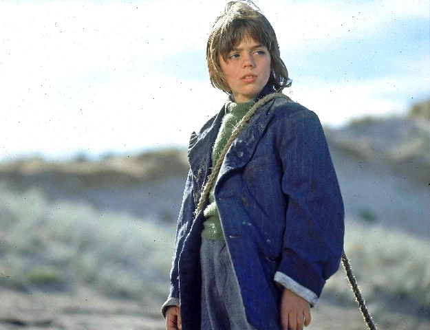 Анонсирована игра по детской книге Storm Boy