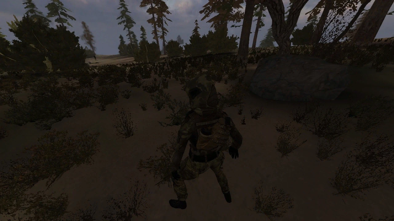 S.T.A.L.K.E.R.: Call of Pripyat "Мод на Ассасина(персонаж Делайла - "Королева псов")"