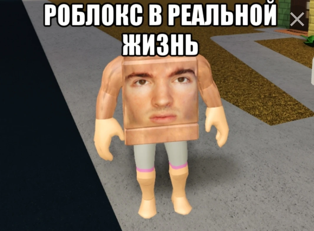 Роблокс в реальной жизни