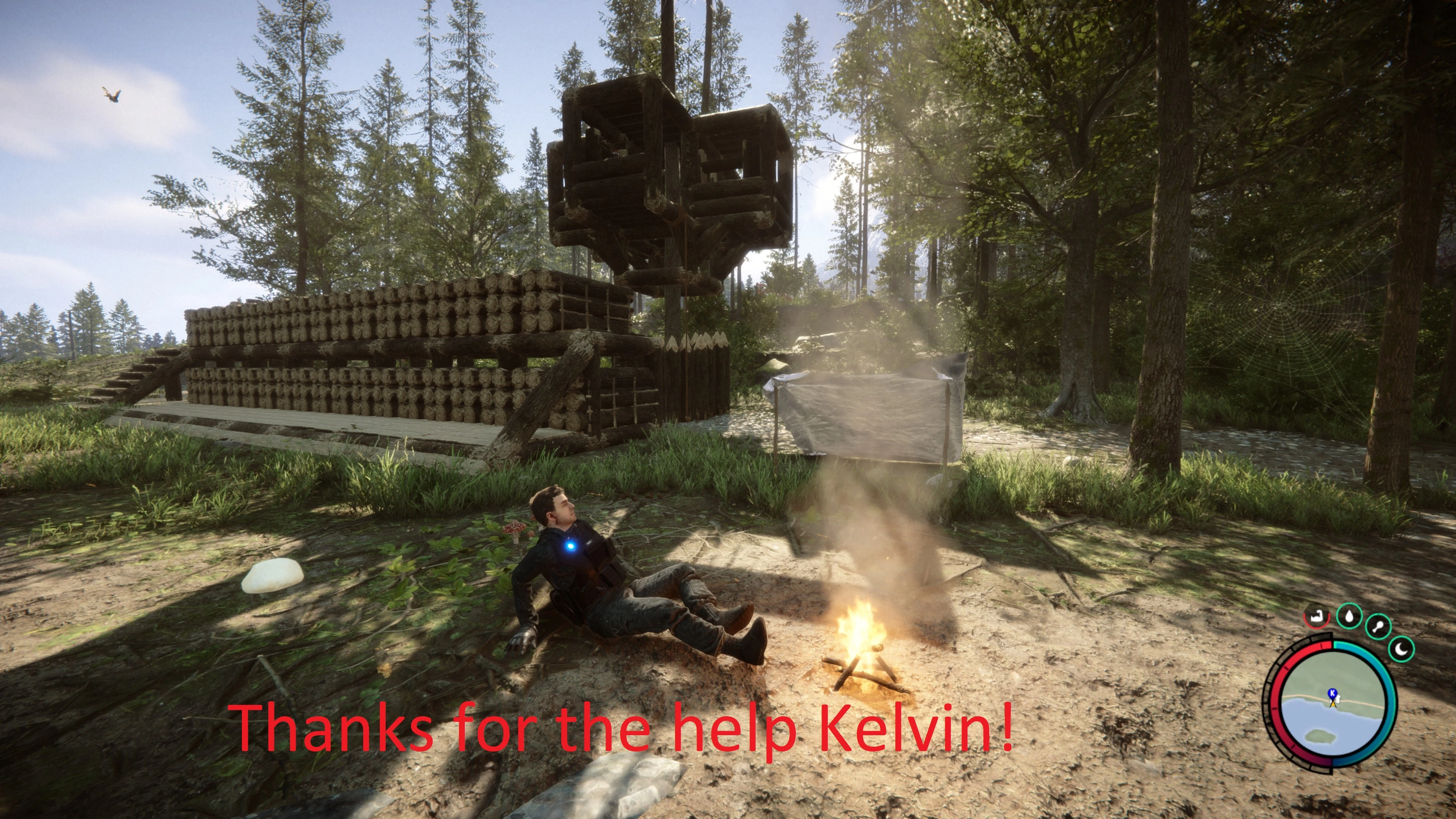 Sons of the Forest "Сохранение - Хорошее начало день 00"