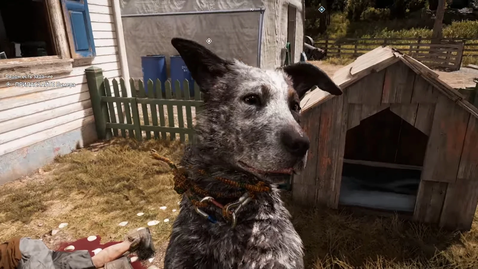 Прохождение Far Cry 5 - Сюжетные задания - Задания напарников