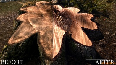 TES 5: Skyrim "HD ретекстур деревьев и пней"