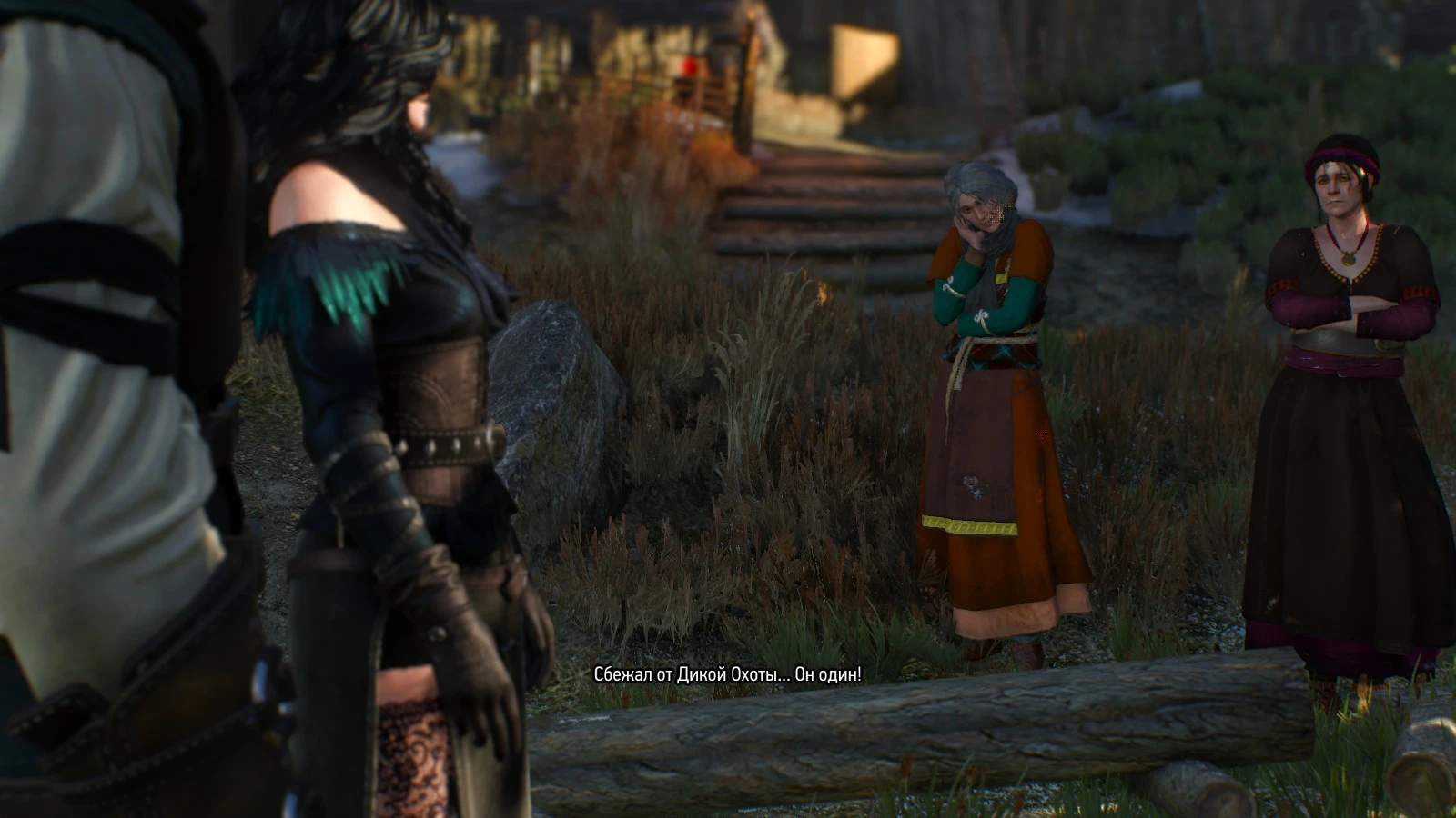 Прохождение The Witcher 3: Wild Hunt - Основные задания - Скеллиге