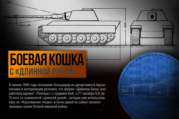 Боевая кошка с "длинной рукой"!