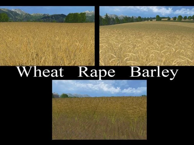 Farming Simulator 15 "Текстуры пшеницы, ячменя, канолы"