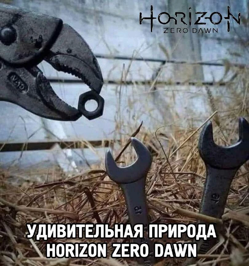 Жизнь в игре