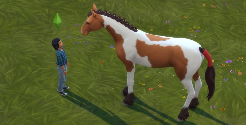 The Sims 4: как обучать лошадей