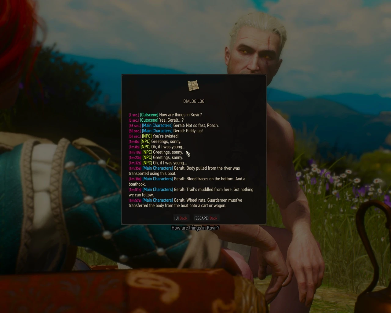 Witcher 3 "Журнал диалогов"