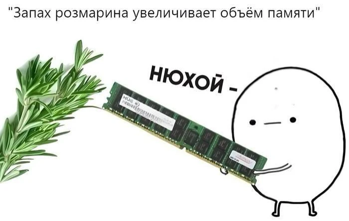 Цена розмарина увеличилась на 500%