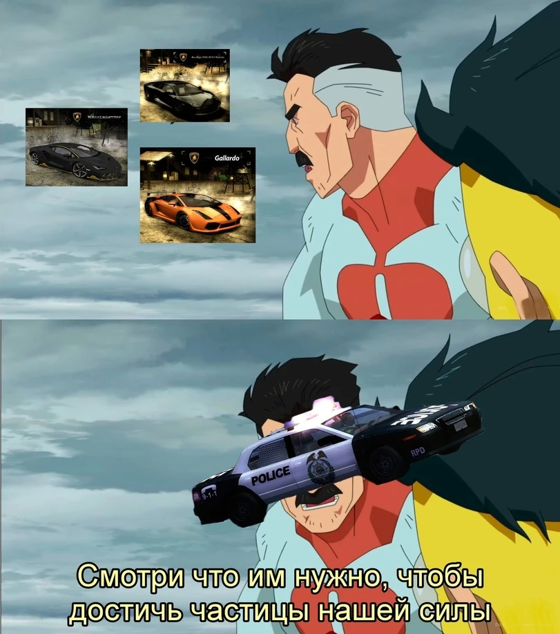 Полиция в НФС