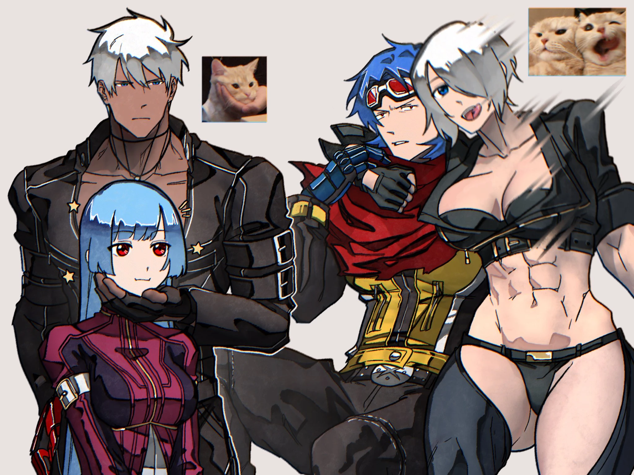 Кошачьи мемы