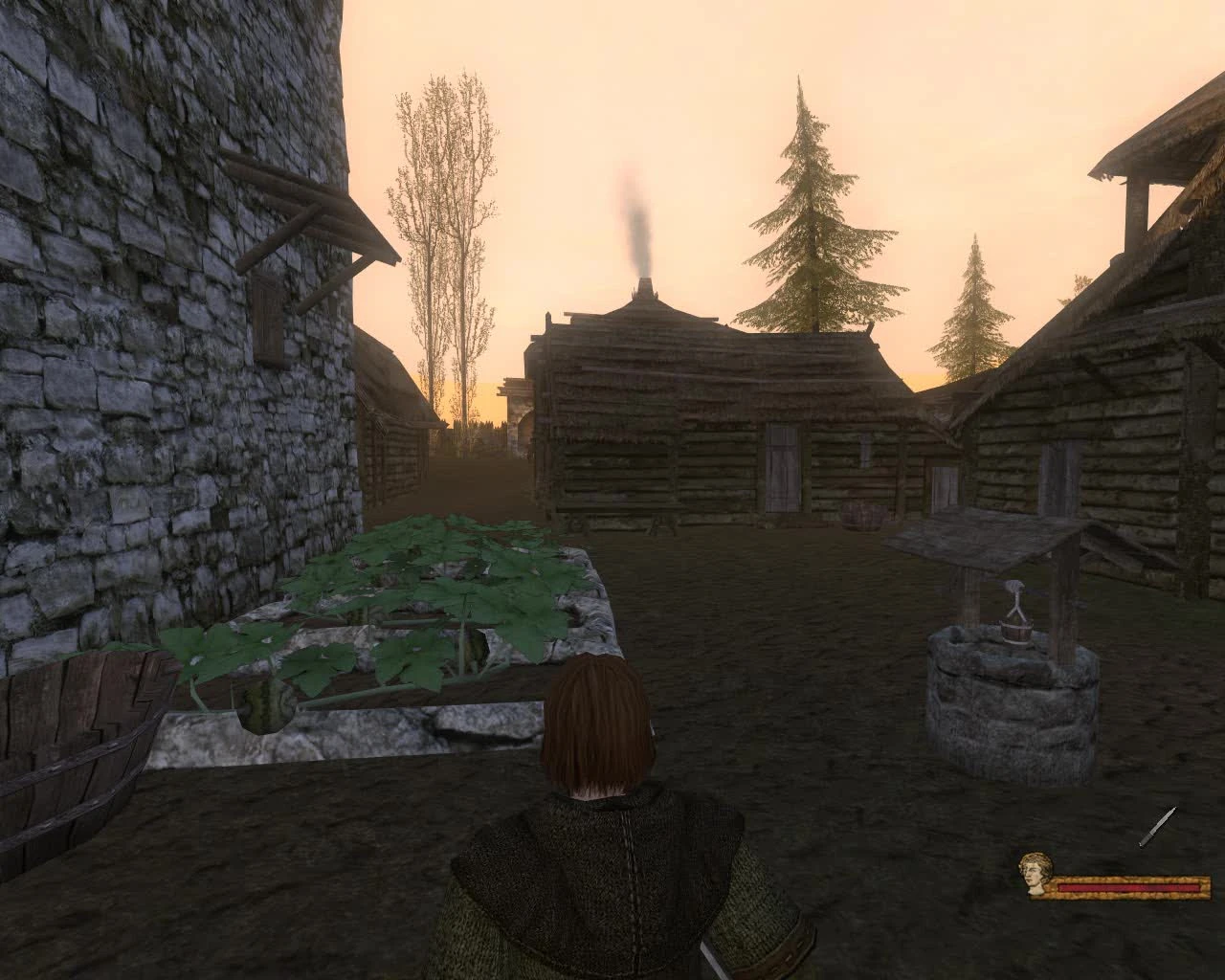 Mount & Blade: Warband - A Clash of Kings [1.5] - Фанатский обзор