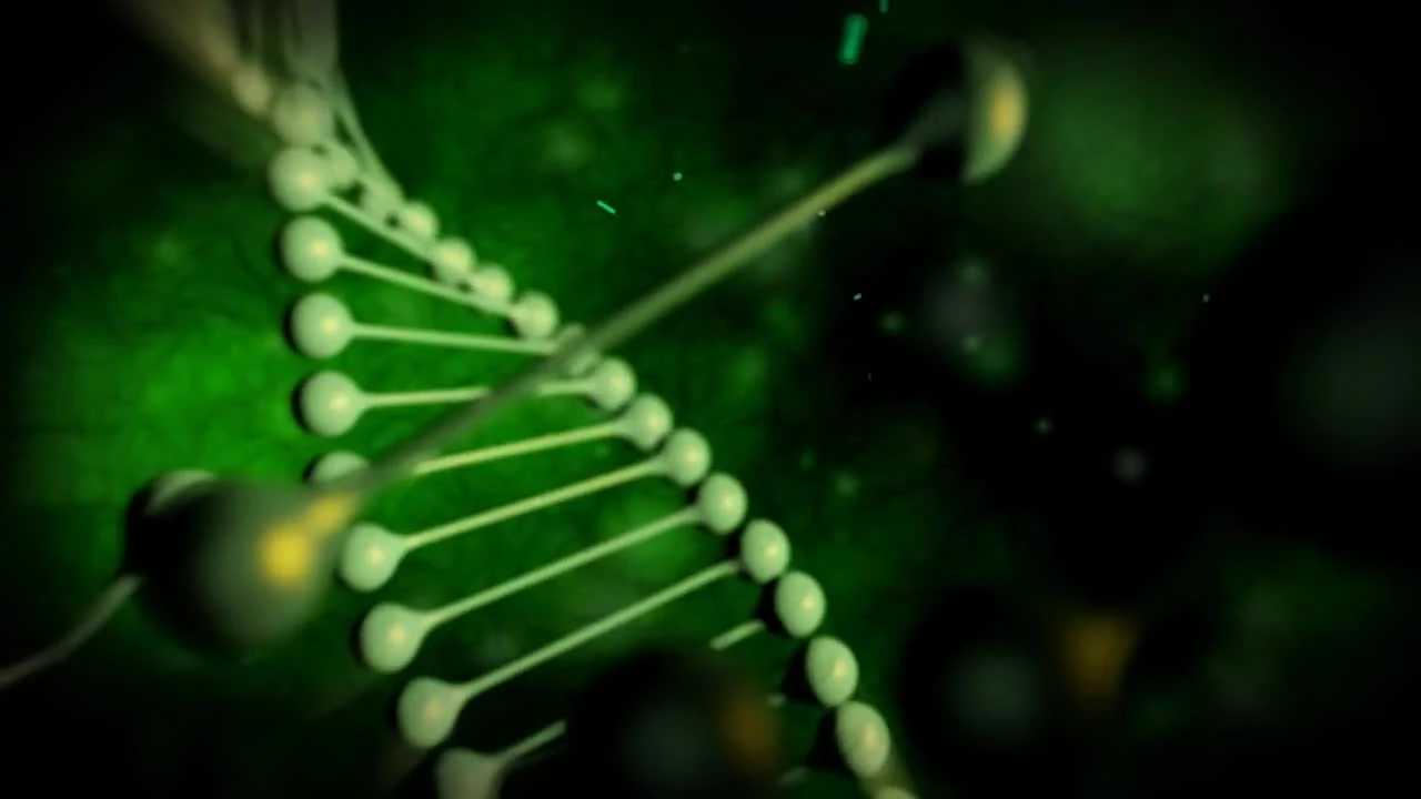 BOID "Дебютный трейлер"