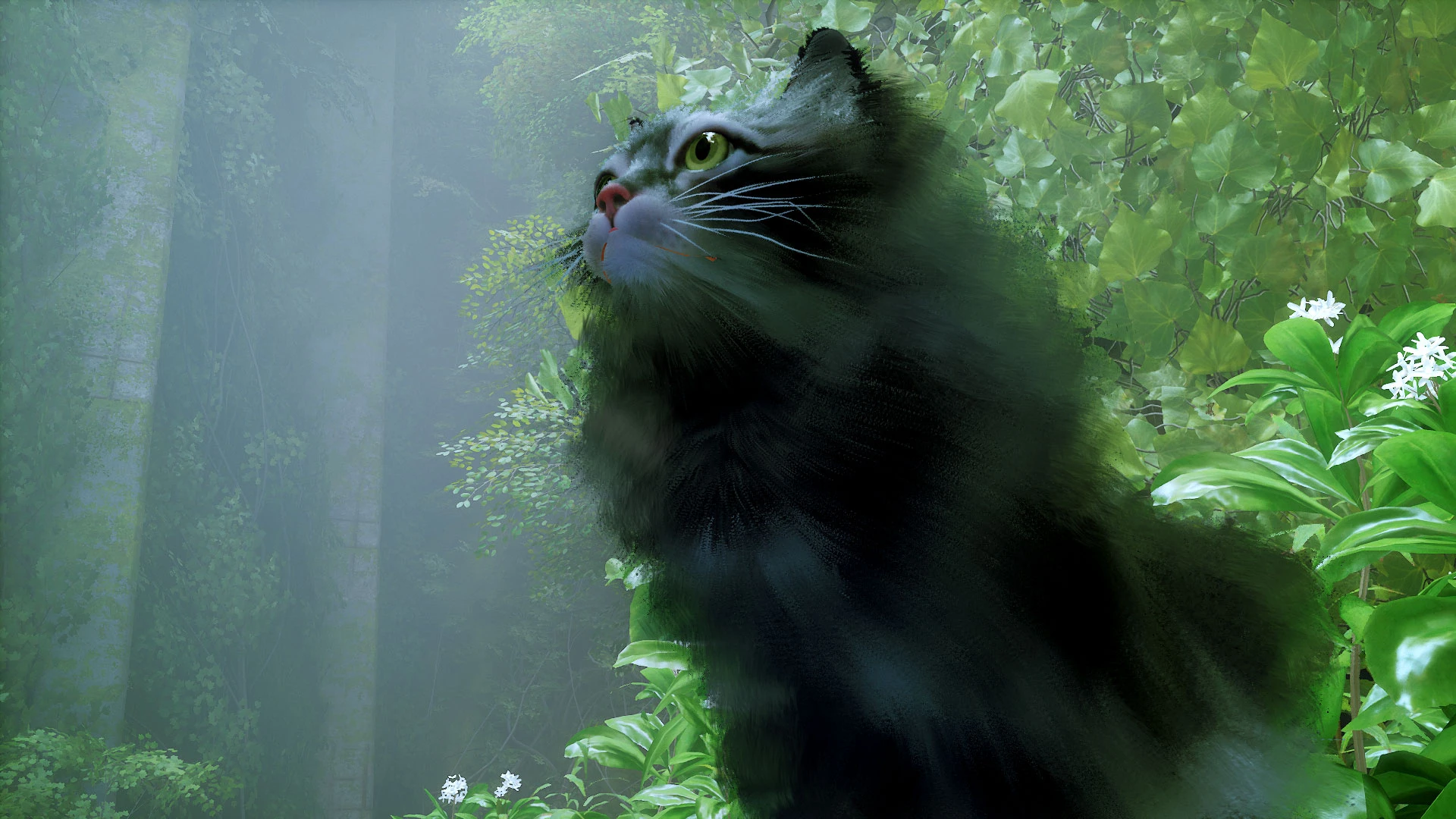 Stray "Маленький серый лев"