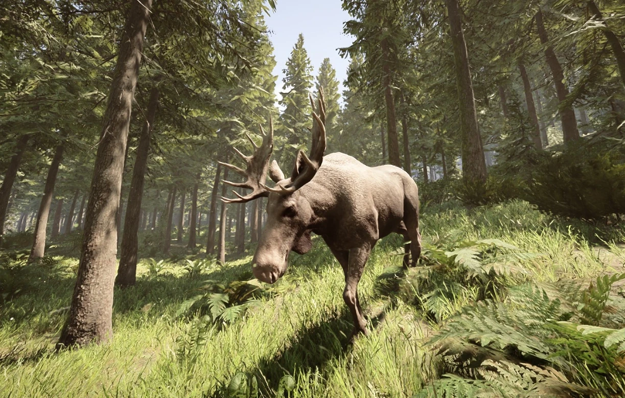 Спидранер прошел Sons of the Forest менее чем за восемь минут, не причинив вреда ни одной душе