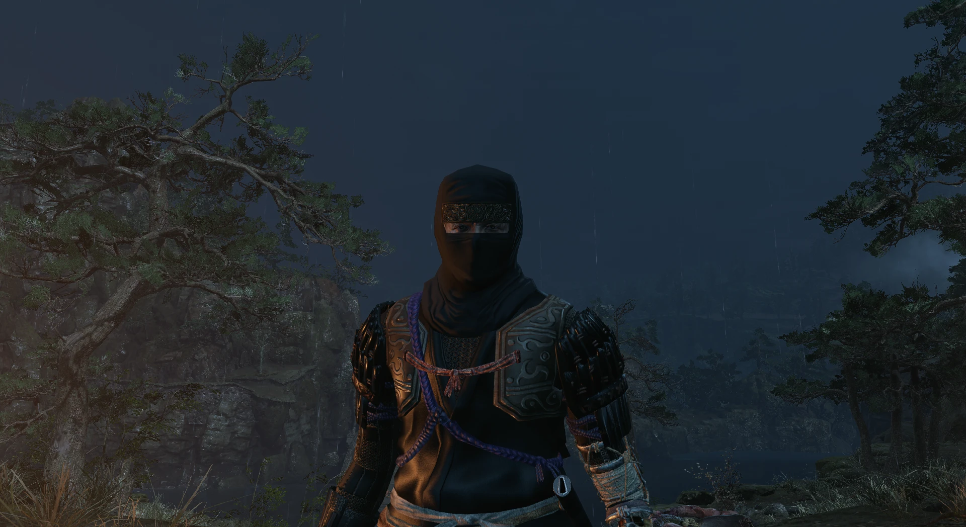 Sekiro: Shadows Die Twice "Сет тени из Dark Souls 3"