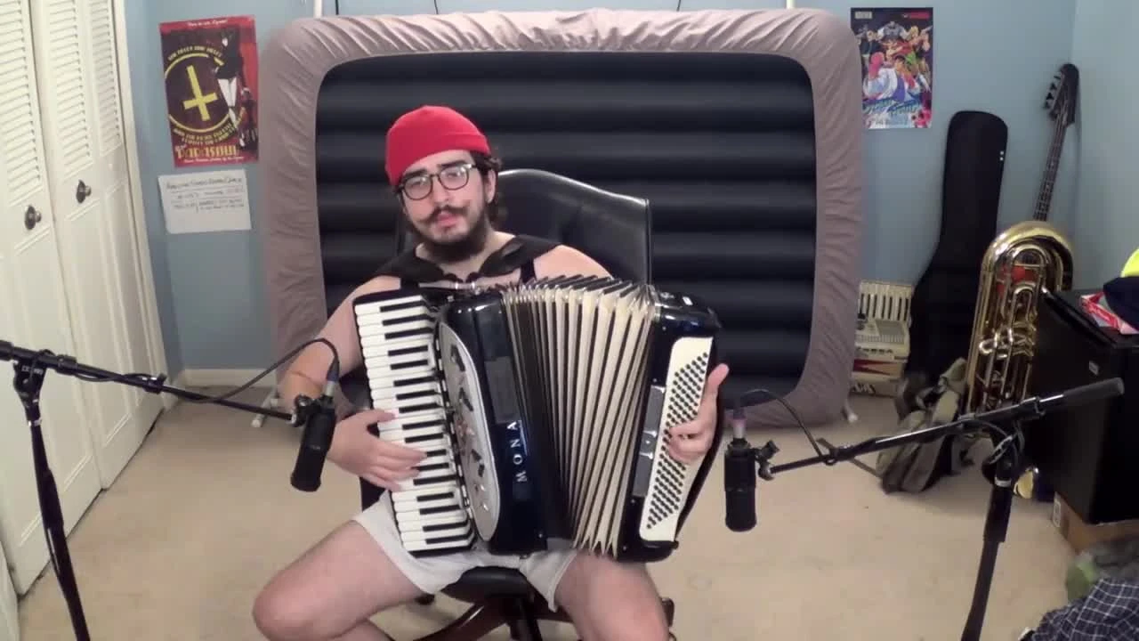 Fallen Down (UNDERTALE) [accordion cover]