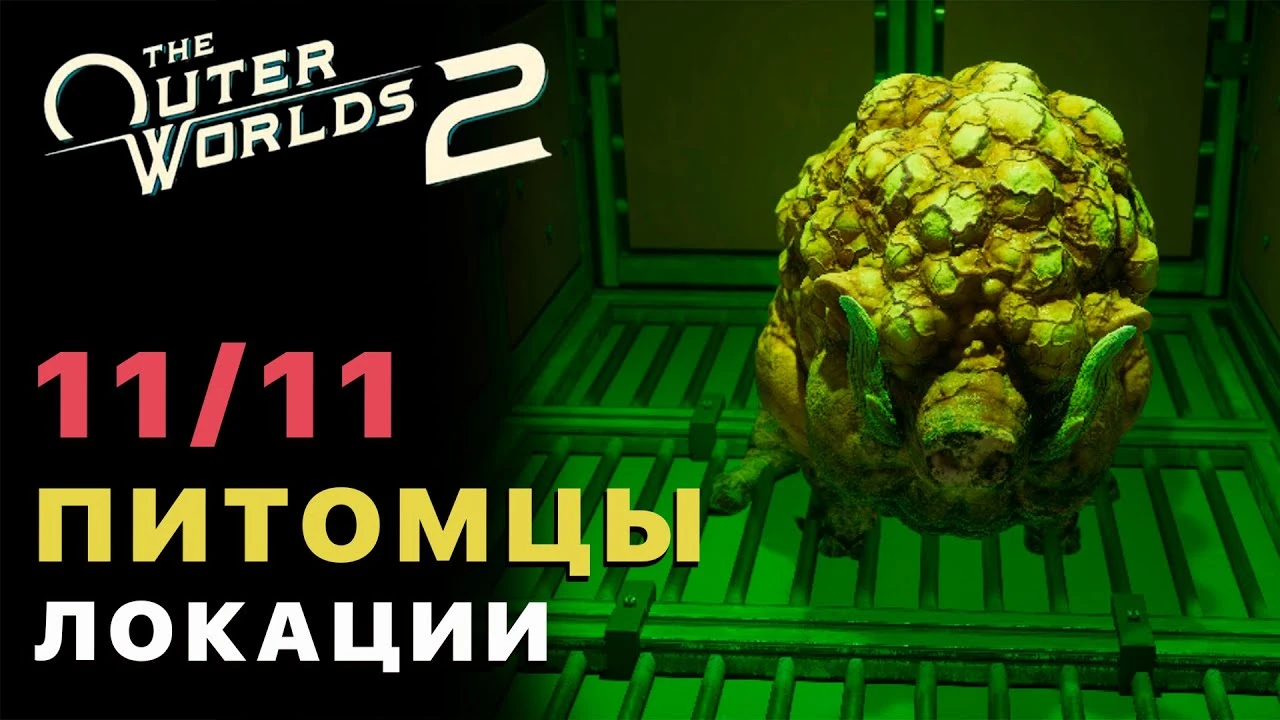 Где найти всех питовцев в The Outer Worlds 2