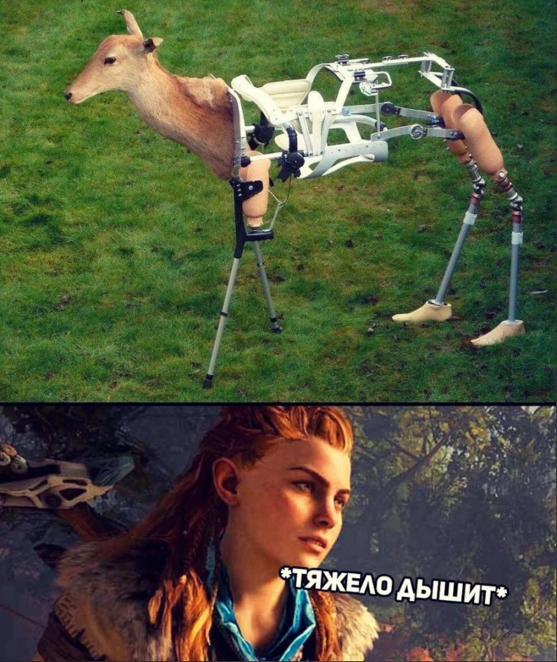 Мехазвери уже здесь