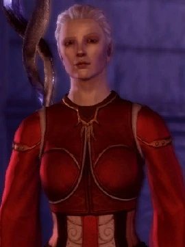 Dragon Age: Origins - Спутники - Винн