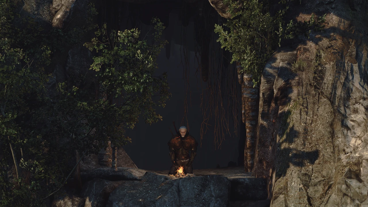 Witcher 3 "Автоматический выбор в диалогах"