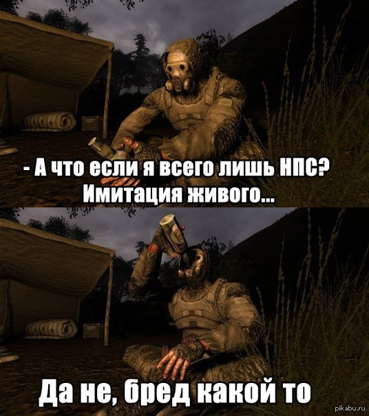 Смысл жизни сталкера