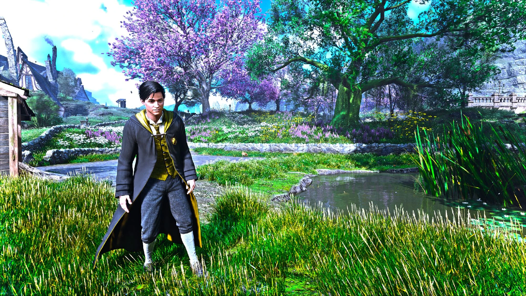 Hogwarts Legacy "Красочный вид"