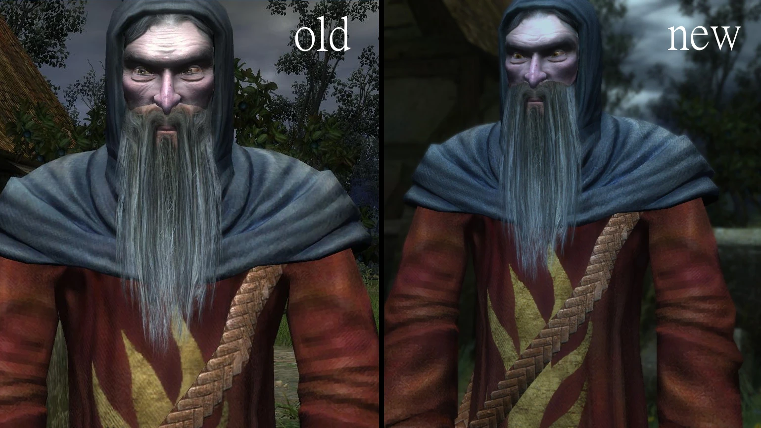 The Witcher "Исправленная текстура бороды"